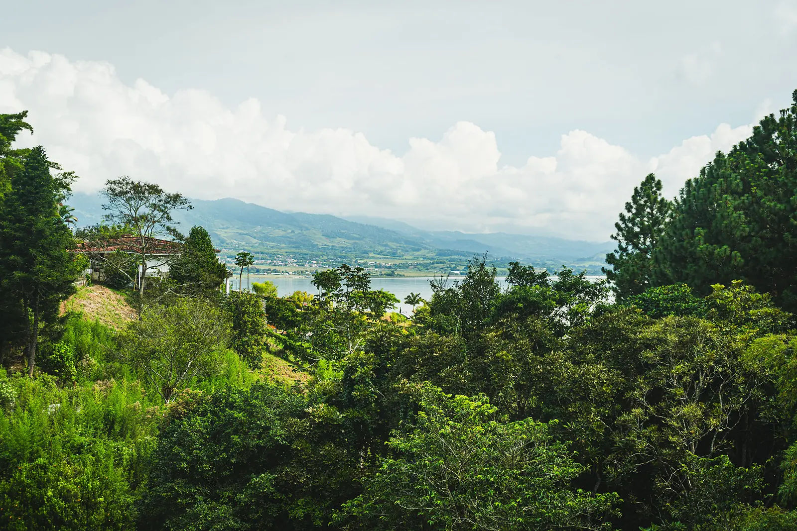 Vista del Lago Calima desde la finca