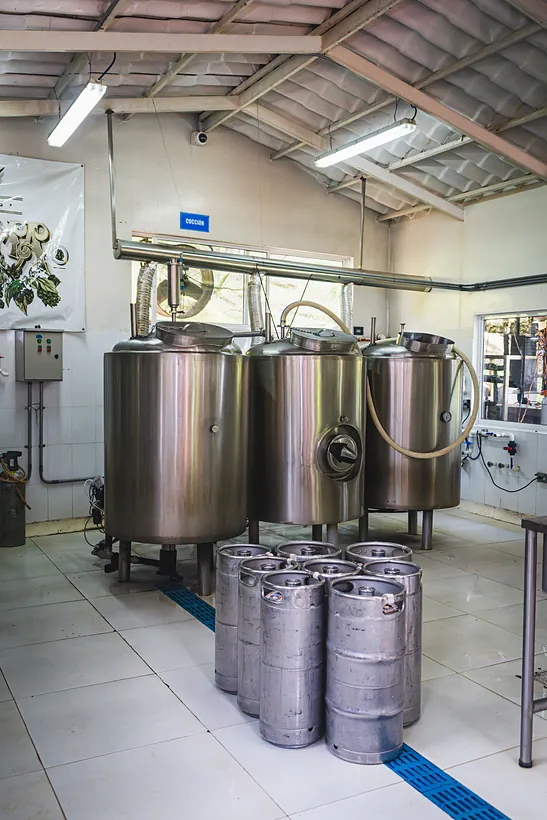 Fermentadores y barriles en la planta